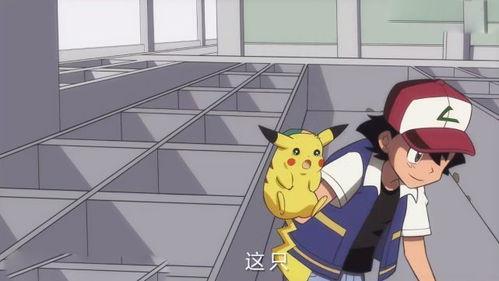 小智理性吃瓜,揭秘娱乐圈幕后真相