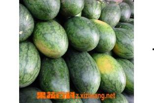 花美人瓜怎么吃