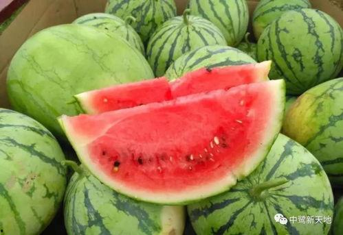 瓜嫂今日吃瓜图片大全,图解娱乐圈新鲜事