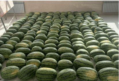 苏州吃瓜新闻,揭秘当地热点事件背后的故事