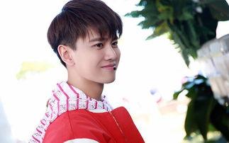 任嘉伦采访吃瓜,揭秘娱乐圈幕后趣事