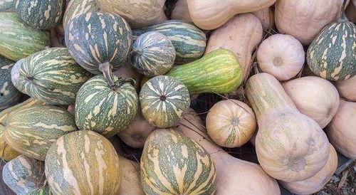 浙江女吃瓜,揭秘网络热议背后的真相与反思