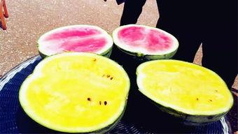 吃瓜爆料问题有哪些