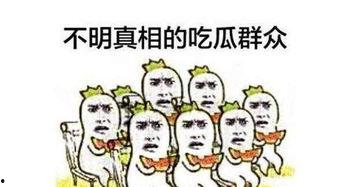 阿里吃瓜群众,揭秘互联网巨头背后的真实故事